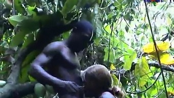 Interracial Romance Between African And French Lovers