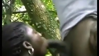 Black Ebony Beauties Get Fucked Hard And Deep