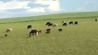 Young Dutch Girl Gets Fucked Hard In The Countryside