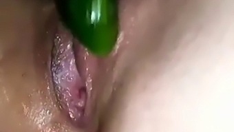 Amateur Female'S Playful Solo Session With A Sex Toy