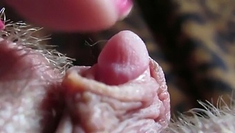 Intense Close-Up Of My Throbbing Clitoris Head