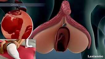 The Science Of Female Orgasm: A Biological Perspective