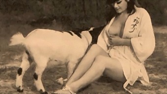 Classic Taboo: Taboo, Vintage, And Retro Pussy And Pooch